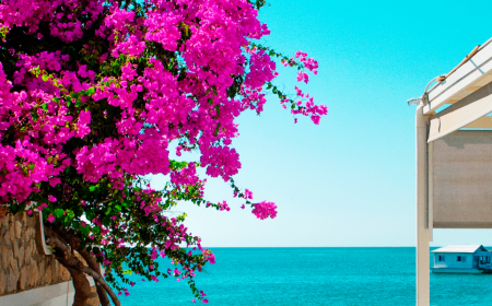 slider-image 